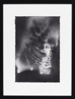 PICNIC_VOL_2_2026/IMG_0006