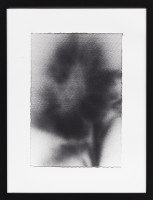 PICNIC_VOL_2_2026/IMG_0012