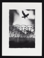 PICNIC_VOL_2_2026/IMG_0018