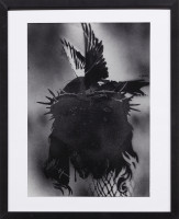 PICNIC_VOL_2_2026/IMG_0091