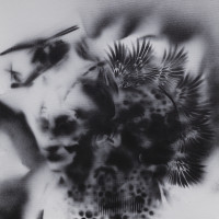 PICNIC_VOL_2_2026/IMG_0099