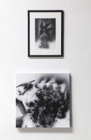 PICNIC_VOL_2_2026/IMG_0120