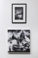 PICNIC_VOL_2_2026/IMG_0121