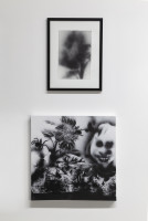 PICNIC_VOL_2_2026/IMG_0124